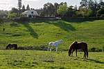 Westwind Community Barn Los Altos Hills